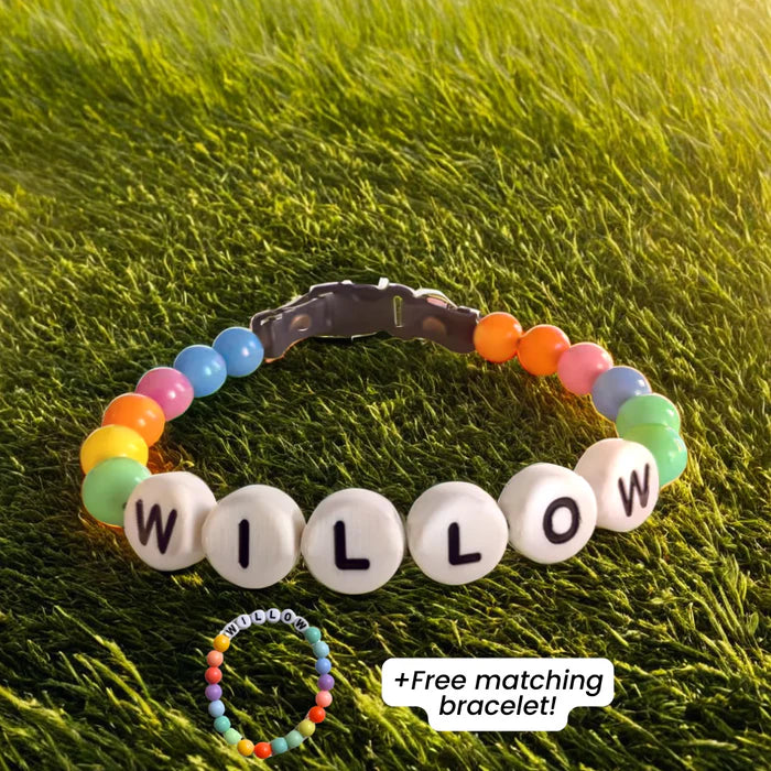 BFF Custom Dog Collar