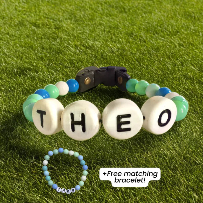 BFF Custom Dog Collar