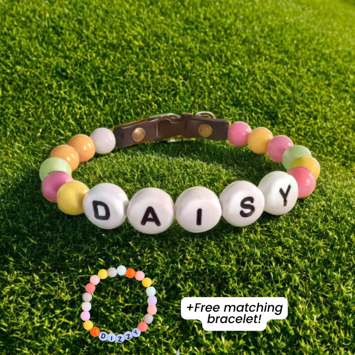 BFF Custom Dog Collar