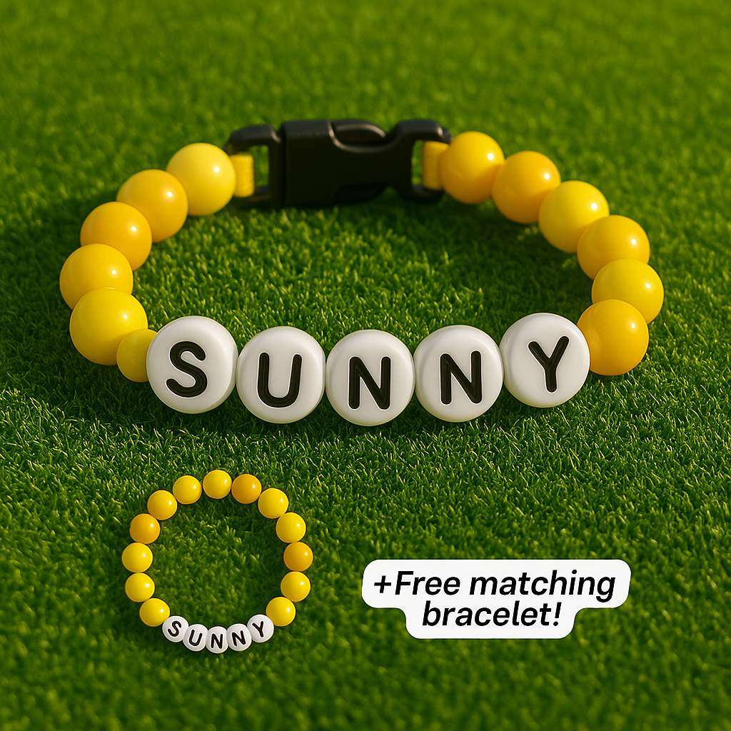 BFF Dog Collar + Free Matching Bracelet