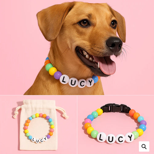 3x BFF Dog Collar + Free Matching Bracelet Bundle