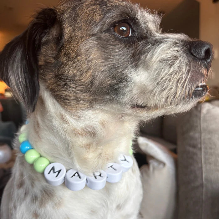 BFF Custom Dog Collar