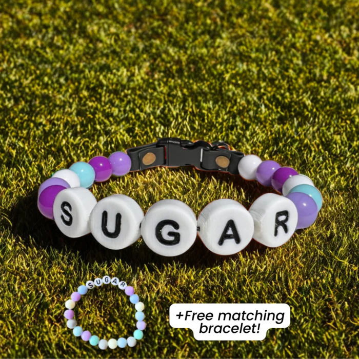 BFF Custom Dog Collar