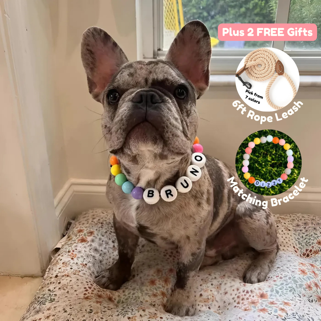 BFF Custom Dog Collar