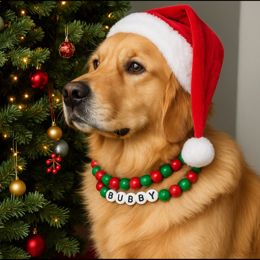 Christmas BFF Dog Collar+ Matching Bracelet